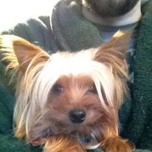 Meet your Posher, Laura